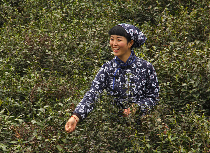 资讯